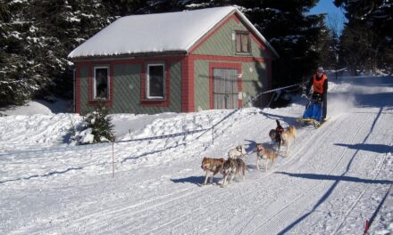 Dog Mushing Interview with Pierre Galvez