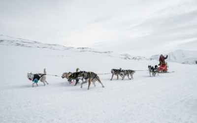 Introduction to Dog Sledding