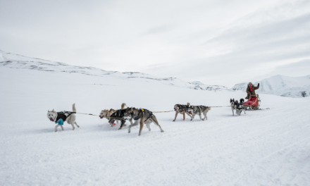 Introduction to Dog Sledding