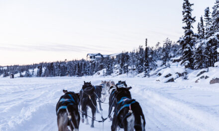 Mushing Interview with Ken Anderson