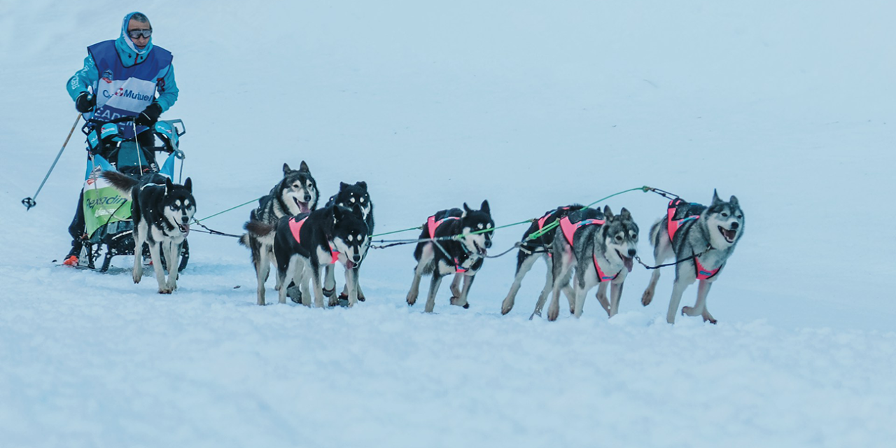 The Encyclopedia of Mushing & Dog Sledding