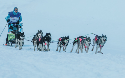 The Encyclopedia of Mushing & Dog Sledding