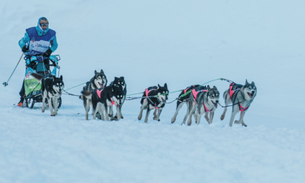 The Encyclopedia of Mushing & Dog Sledding