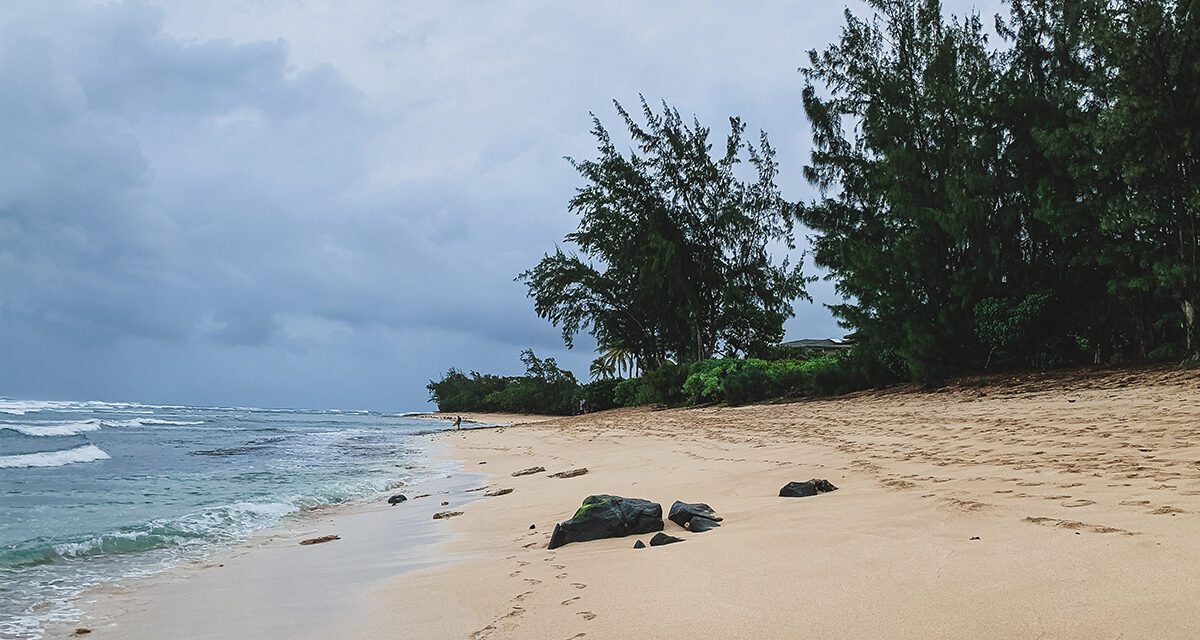 Staying at a Velzyland Beach Airbnb Near Waimea Valley and Falls