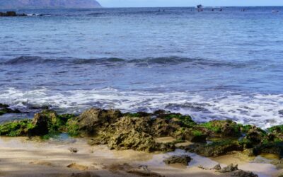 5 Amazing Things To Do in the Waters of Maui