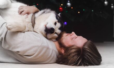 5 Reasons To Love Owning a Dog: Improved Health & Happiness in Life