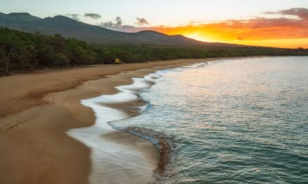 A History of Maui: Then & Now