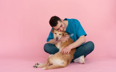 Everything Needed When Adopting a Dog From a Shelter