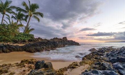 7 Amazing Things to See and Do in Maui