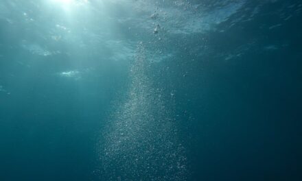 Underwater Film Review: A Latest HBO Max Movie Feature