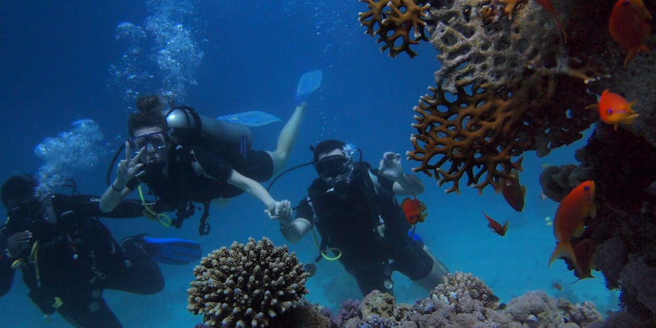 What to Expect for Your First Scuba Diving Experience