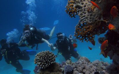 What to Expect for Your First Scuba Diving Experience