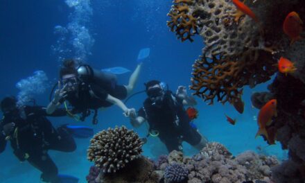 What to Expect for Your First Scuba Diving Experience