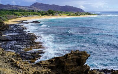 8 Reasons to Love Living in Maui