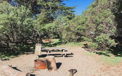 Doran Regional Park Camping & Bodega Bay Things to Do