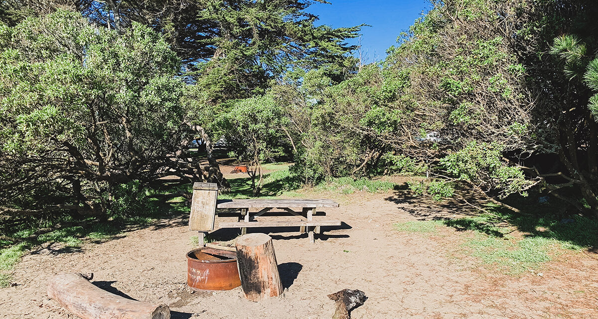 Doran Regional Park Camping & Bodega Bay Things to Do