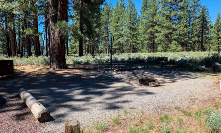 Alpine Meadow Campground in Truckee (Martis Creek Lake)