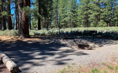 Alpine Meadow Campground in Truckee (Martis Creek Lake)