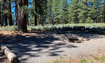 Alpine Meadow Campground in Truckee (Martis Creek Lake)