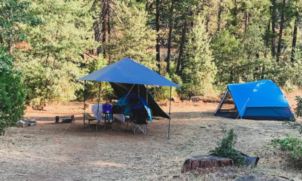 Lost Claim Campground & Yosemite National Park