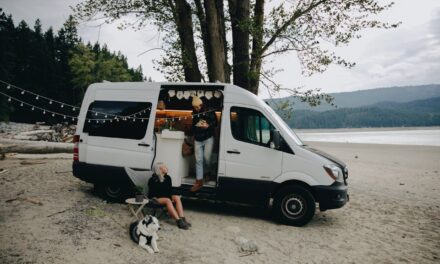 9 Dog-Friendly Campgrounds Near Sacramento