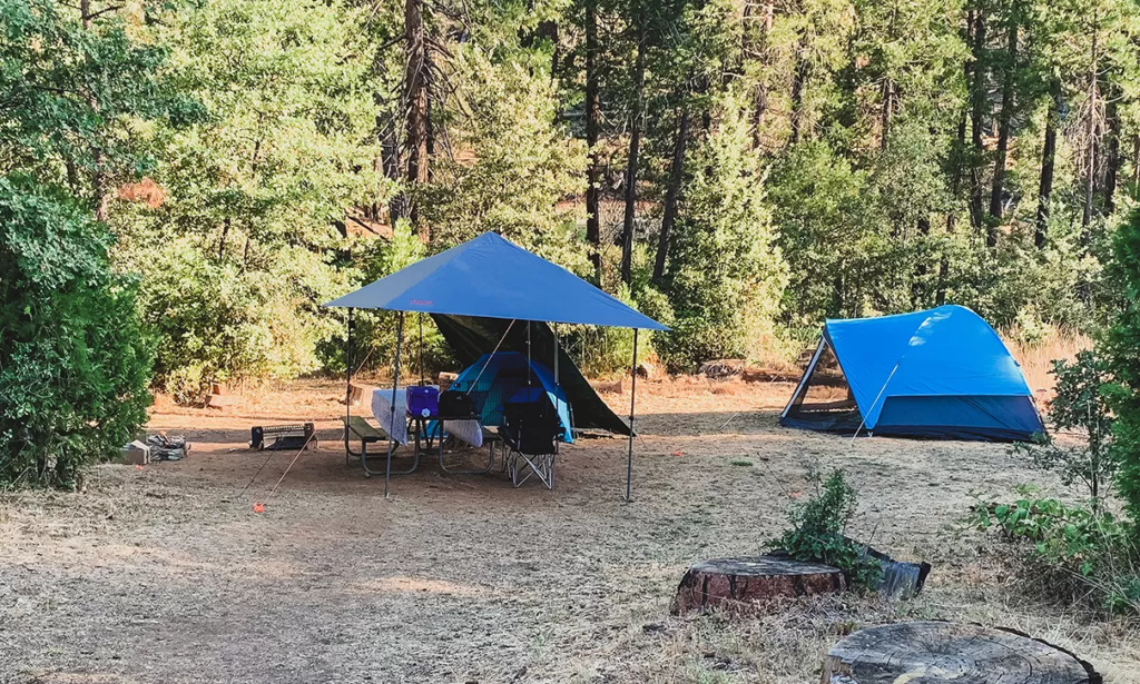 Lost Claim Campground (Dog Friendly) Near Yosemite National Park