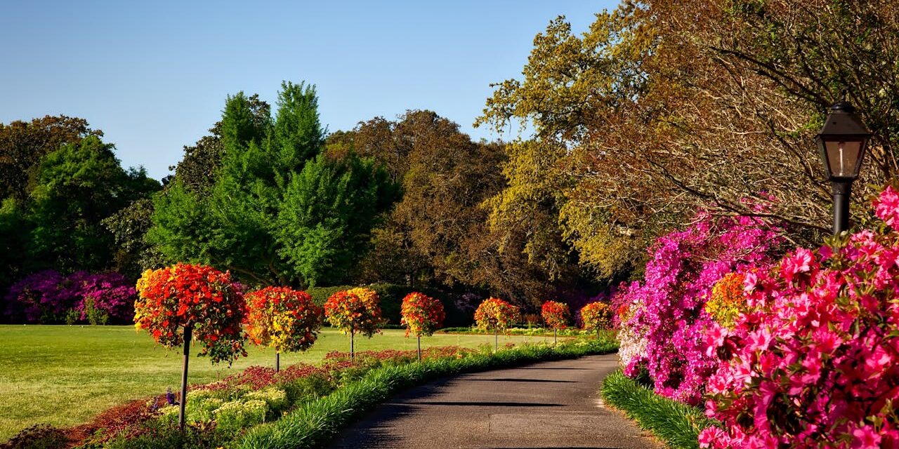 From Movie Magic to Reality: Creating a Secret Garden Sanctuary with Privacy Plants