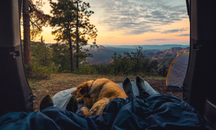 Packing for Car Camping: Don’t Leave Home Without These Essentials