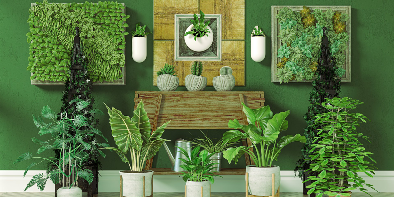 Decorate Your Space: Greenify Home & Office with Houseplants