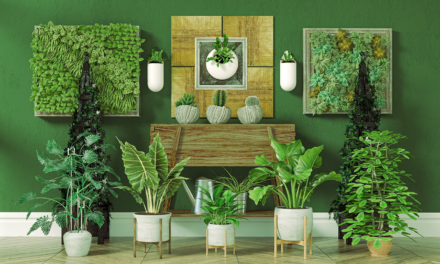 Decorate Your Space: Greenify Home & Office with Houseplants