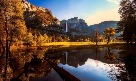 California’s National Forests: A Camper’s Guide to Majestic Wilderness