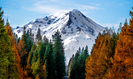 The History of Mount Shasta and Lassen Area