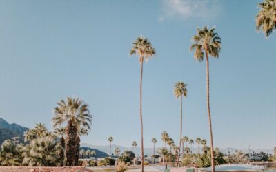 The History of Palm Springs: An Oasis in the California Desert