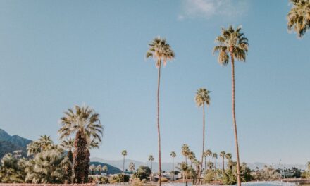 The History of Palm Springs: An Oasis in the California Desert