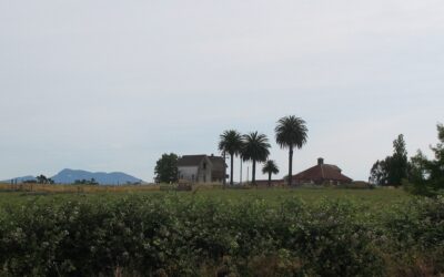 The History of Santa Rosa, California