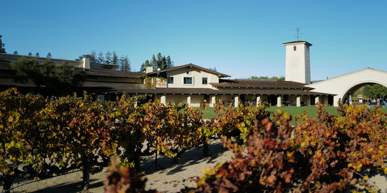 Napa Valley: Where Vines Meet History