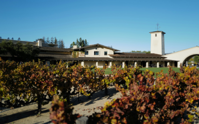 Napa Valley: Where Vines Meet History