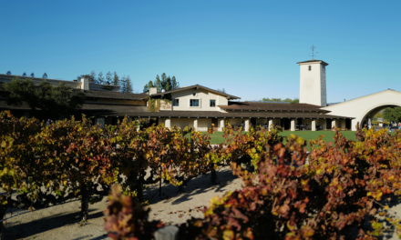 Napa Valley: Where Vines Meet History