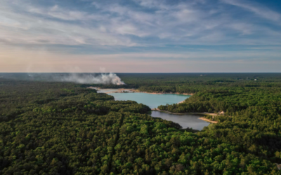 All About the New Jersey Pine Barrens