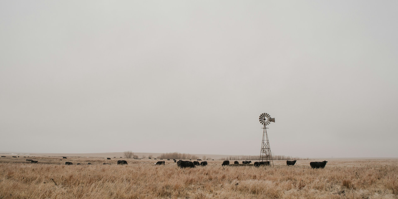 The History of the State of Kansas