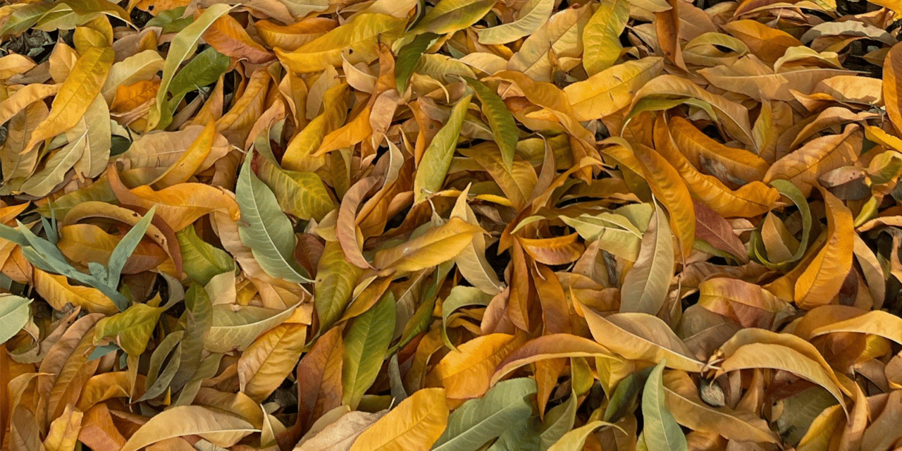 The History of East Brunswick, New Jersey