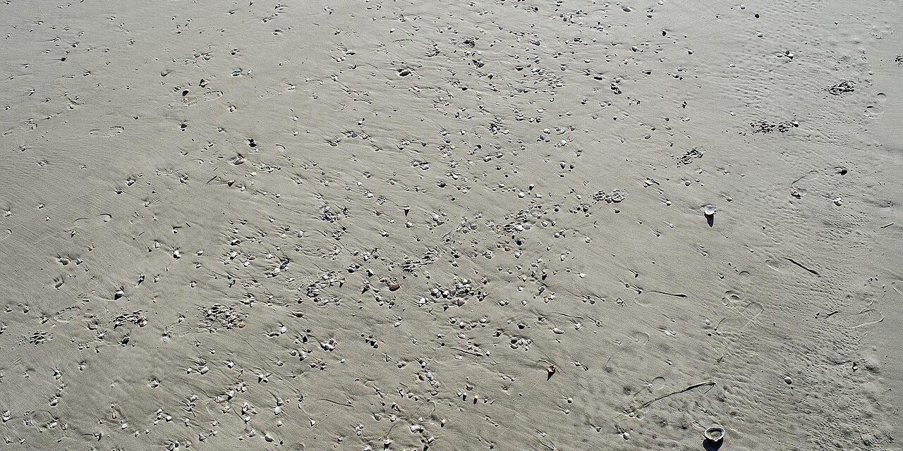 The History of Gloucester County, New Jersey