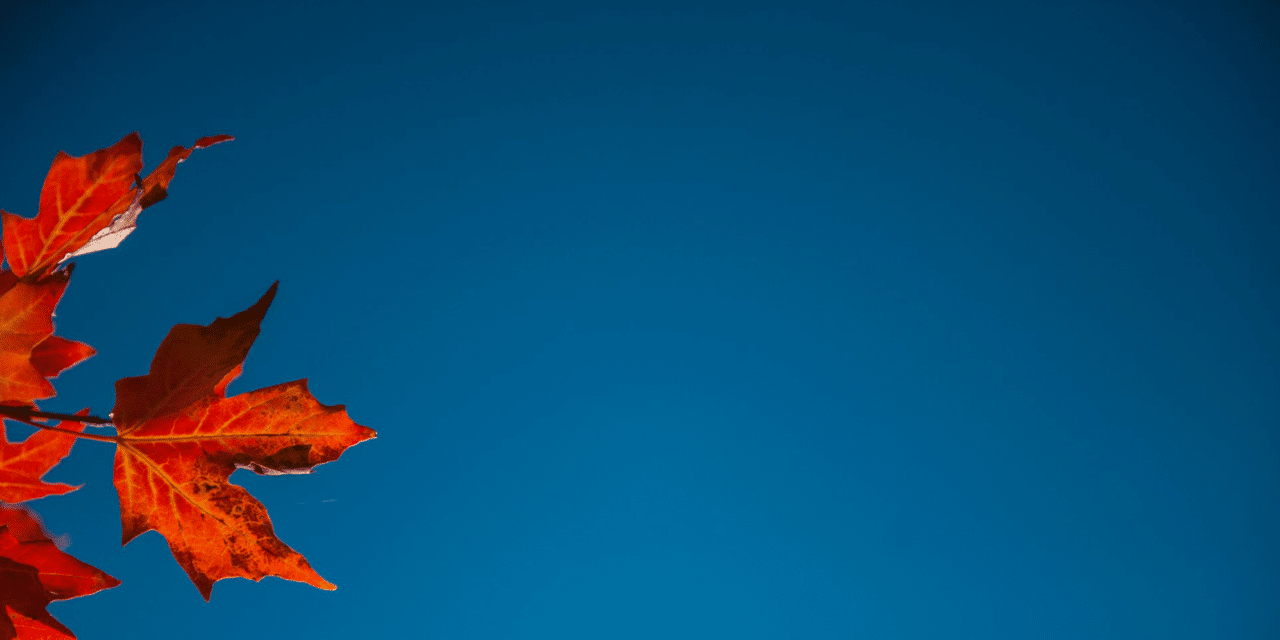 The History of Howell Township, New Jersey