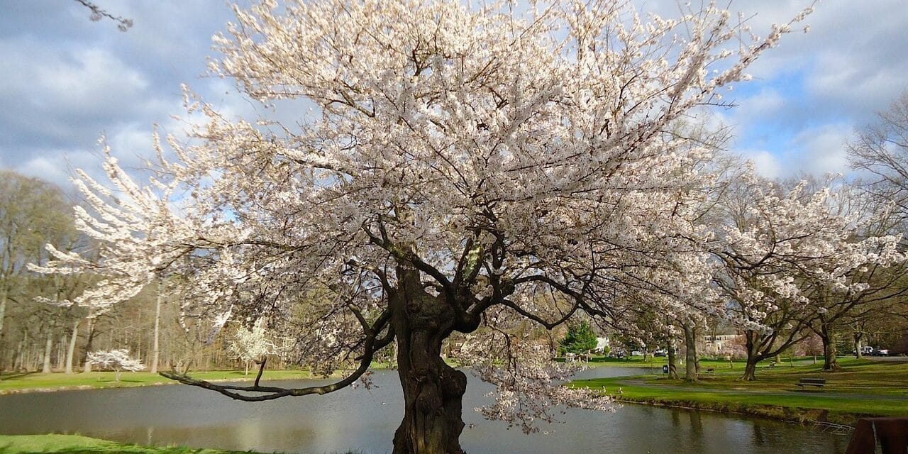 The History of Hunterdon County, New Jersey