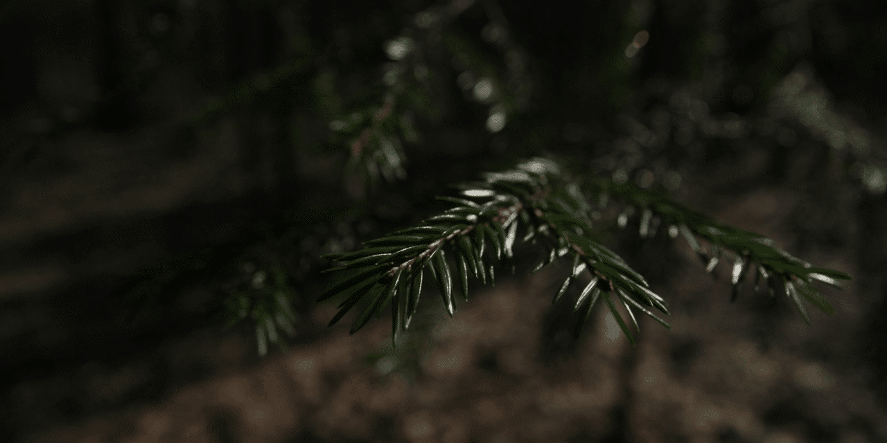 The History of Manchester Township, New Jersey