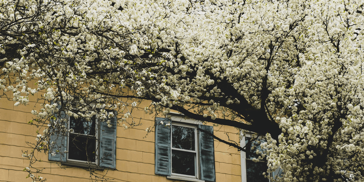 The History of Piscataway Township, New Jersey