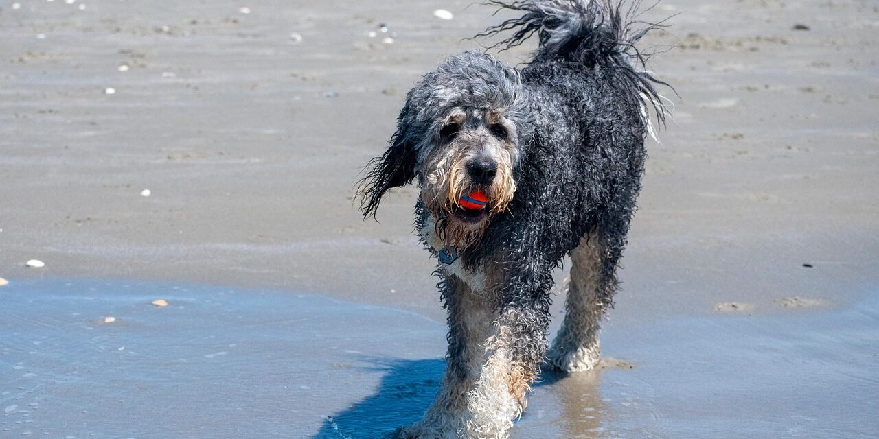 The History of Salem County, New Jersey