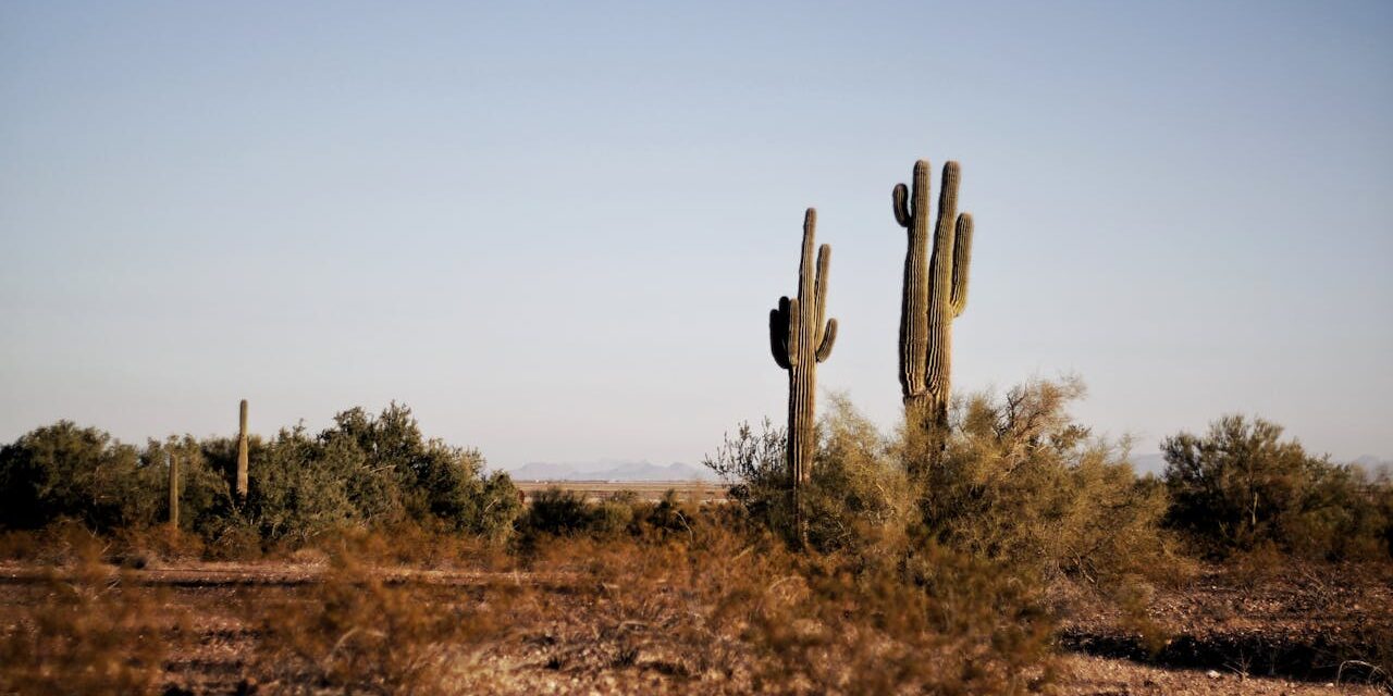 The History of the State of Arizona