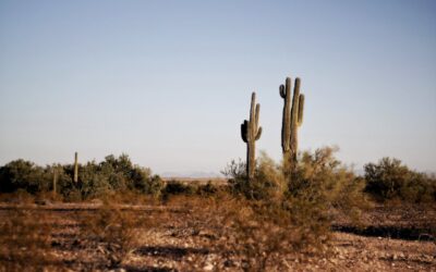 The History of the State of Arizona