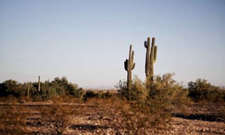 The History of the State of Arizona